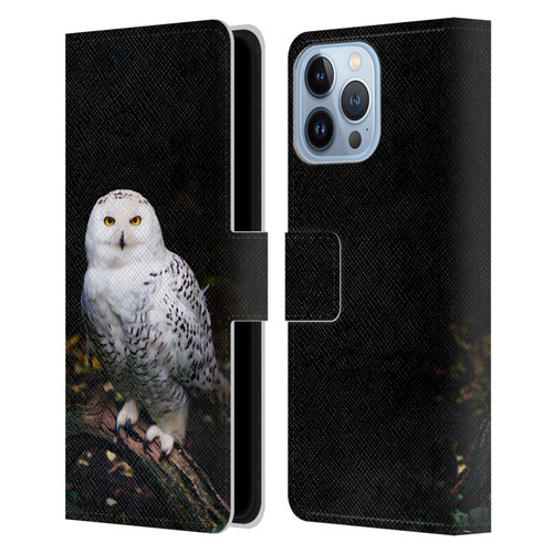Patrik Lovrin Animal Portraits Majestic Winter Snowy Owl Leather Book Wallet Case Cover For Apple iPhone 13 Pro Max