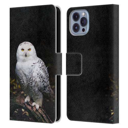 Patrik Lovrin Animal Portraits Majestic Winter Snowy Owl Leather Book Wallet Case Cover For Apple iPhone 14