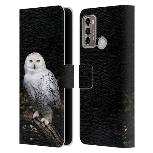 Patrik Lovrin Animal Portraits Majestic Winter Snowy Owl Leather Book Wallet Case Cover For Motorola Moto G60 / Moto G40 Fusion