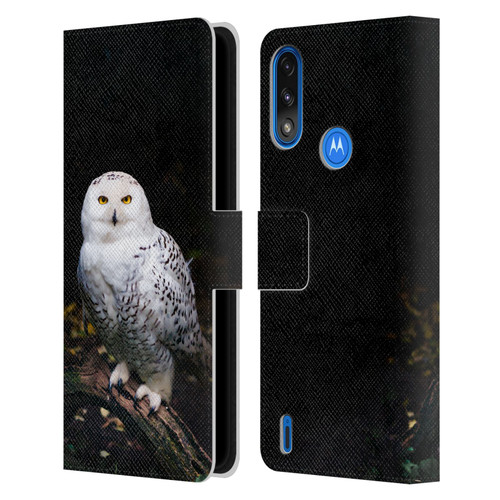 Patrik Lovrin Animal Portraits Majestic Winter Snowy Owl Leather Book Wallet Case Cover For Motorola Moto E7 Power / Moto E7i Power