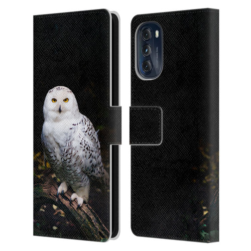 Patrik Lovrin Animal Portraits Majestic Winter Snowy Owl Leather Book Wallet Case Cover For Motorola Moto G (2022)