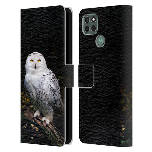 Patrik Lovrin Animal Portraits Majestic Winter Snowy Owl Leather Book Wallet Case Cover For Motorola Moto G9 Power