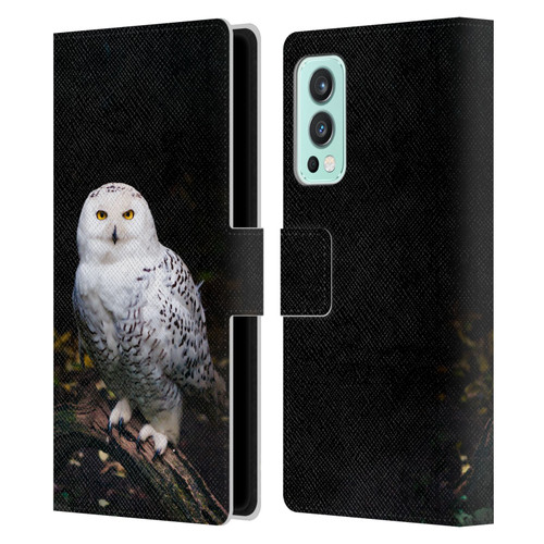 Patrik Lovrin Animal Portraits Majestic Winter Snowy Owl Leather Book Wallet Case Cover For OnePlus Nord 2 5G