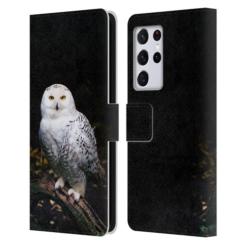 Patrik Lovrin Animal Portraits Majestic Winter Snowy Owl Leather Book Wallet Case Cover For Samsung Galaxy S21 Ultra 5G