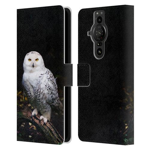 Patrik Lovrin Animal Portraits Majestic Winter Snowy Owl Leather Book Wallet Case Cover For Sony Xperia Pro-I