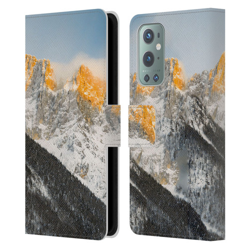 Patrik Lovrin Magical Sunsets Last Light On Slovenian Alps Leather Book Wallet Case Cover For OnePlus 9
