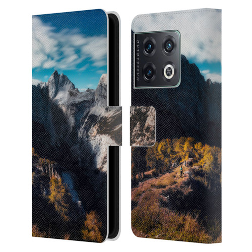 Patrik Lovrin Wanderlust In Awe Of The Mountains Leather Book Wallet Case Cover For OnePlus 10 Pro
