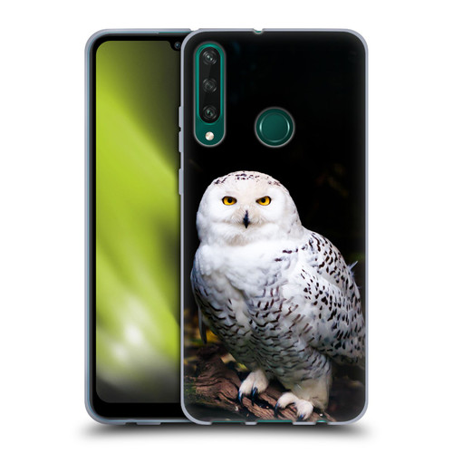 Patrik Lovrin Animal Portraits Majestic Winter Snowy Owl Soft Gel Case for Huawei Y6p