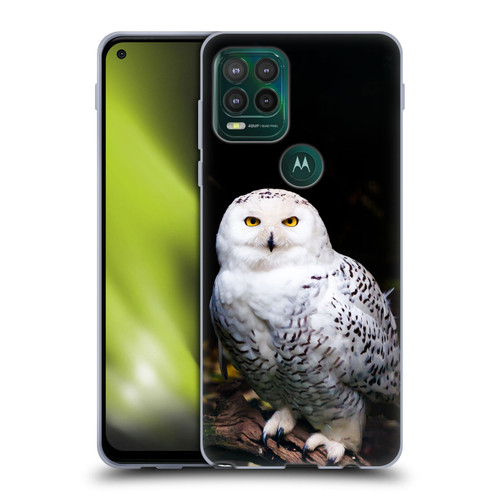 Patrik Lovrin Animal Portraits Majestic Winter Snowy Owl Soft Gel Case for Motorola Moto G Stylus 5G 2021