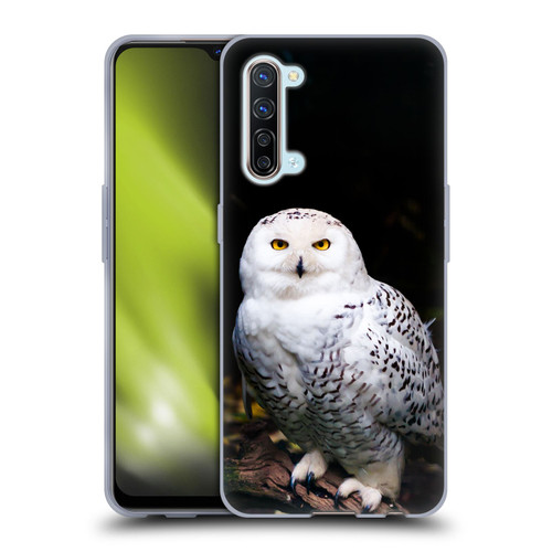 Patrik Lovrin Animal Portraits Majestic Winter Snowy Owl Soft Gel Case for OPPO Find X2 Lite 5G