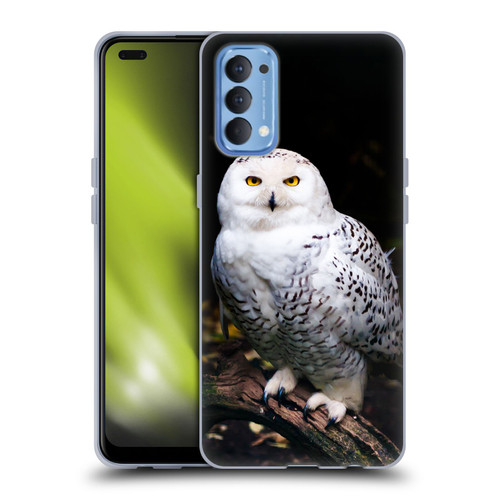 Patrik Lovrin Animal Portraits Majestic Winter Snowy Owl Soft Gel Case for OPPO Reno 4 5G