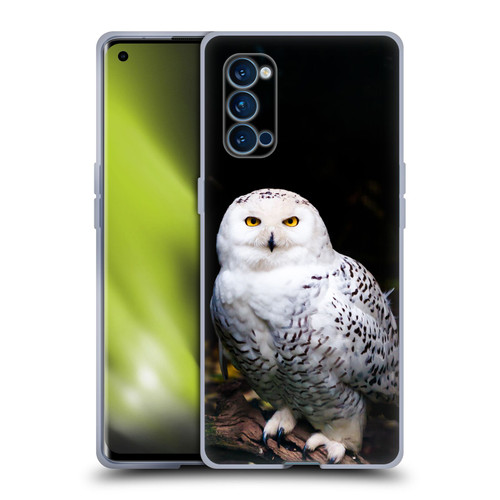 Patrik Lovrin Animal Portraits Majestic Winter Snowy Owl Soft Gel Case for OPPO Reno 4 Pro 5G