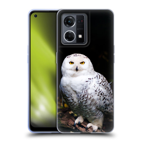 Patrik Lovrin Animal Portraits Majestic Winter Snowy Owl Soft Gel Case for OPPO Reno8 4G