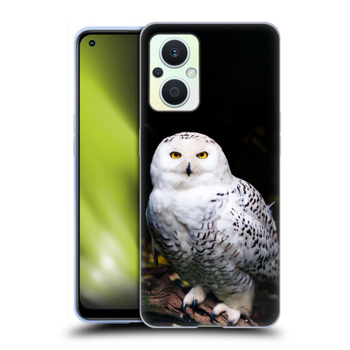 Patrik Lovrin Animal Portraits Majestic Winter Snowy Owl Soft Gel Case for OPPO Reno8 Lite