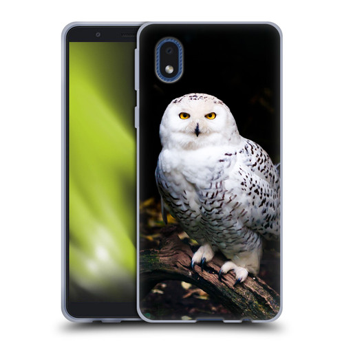 Patrik Lovrin Animal Portraits Majestic Winter Snowy Owl Soft Gel Case for Samsung Galaxy A01 Core (2020)