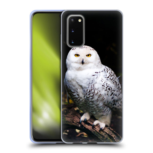 Patrik Lovrin Animal Portraits Majestic Winter Snowy Owl Soft Gel Case for Samsung Galaxy S20 / S20 5G