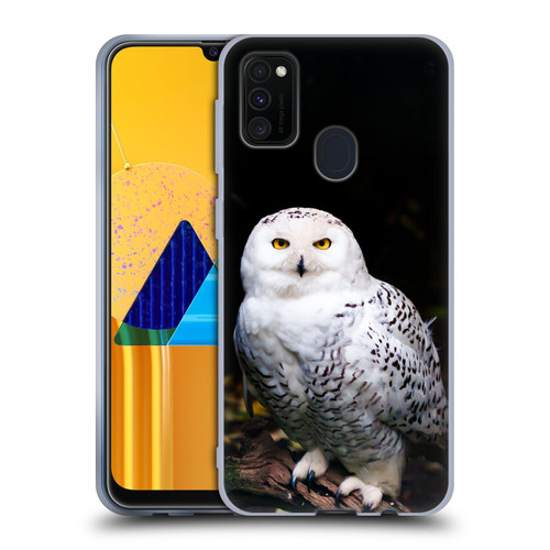 Patrik Lovrin Animal Portraits Majestic Winter Snowy Owl Soft Gel Case for Samsung Galaxy M30s (2019)/M21 (2020)