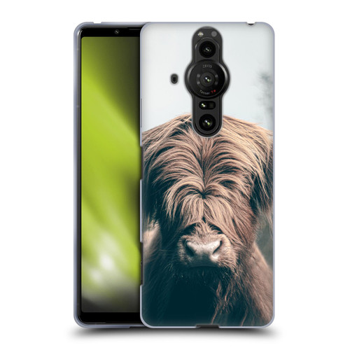 Patrik Lovrin Animal Portraits Highland Cow Soft Gel Case for Sony Xperia Pro-I