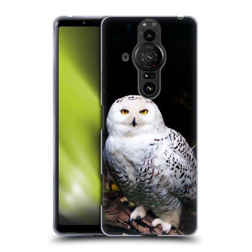 Patrik Lovrin Animal Portraits Majestic Winter Snowy Owl Soft Gel Case for Sony Xperia Pro-I