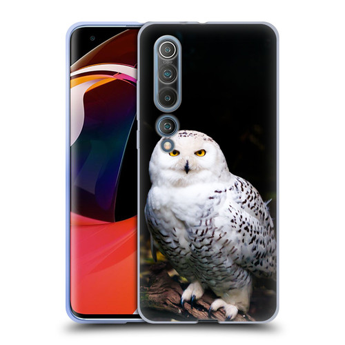 Patrik Lovrin Animal Portraits Majestic Winter Snowy Owl Soft Gel Case for Xiaomi Mi 10 5G / Mi 10 Pro 5G