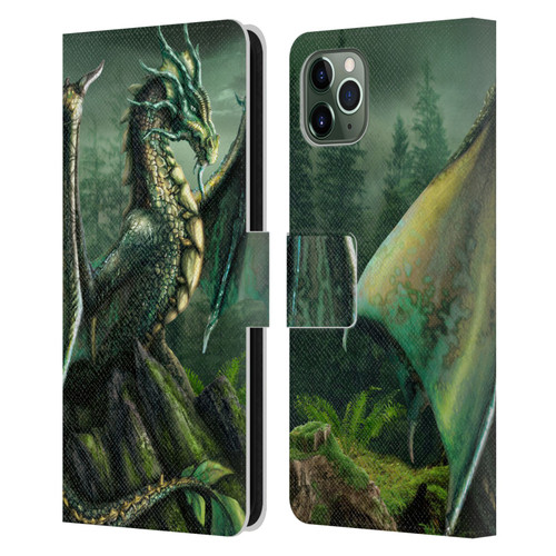 Sarah Richter Fantasy Creatures Green Nature Dragon Leather Book Wallet Case Cover For Apple iPhone 11 Pro Max