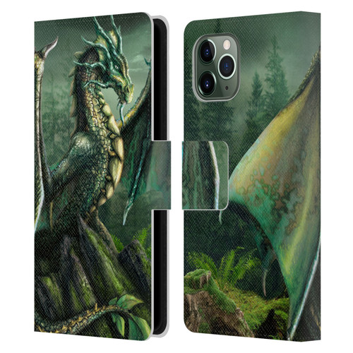 Sarah Richter Fantasy Creatures Green Nature Dragon Leather Book Wallet Case Cover For Apple iPhone 11 Pro