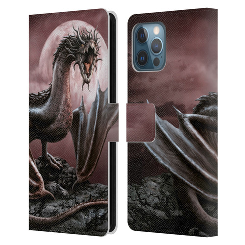 Sarah Richter Fantasy Creatures Black Dragon Roaring Leather Book Wallet Case Cover For Apple iPhone 12 Pro Max
