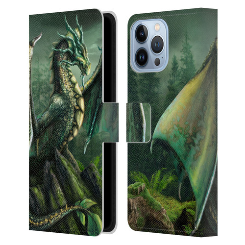 Sarah Richter Fantasy Creatures Green Nature Dragon Leather Book Wallet Case Cover For Apple iPhone 13 Pro Max