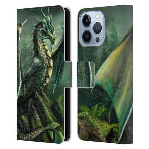 Sarah Richter Fantasy Creatures Green Nature Dragon Leather Book Wallet Case Cover For Apple iPhone 13 Pro