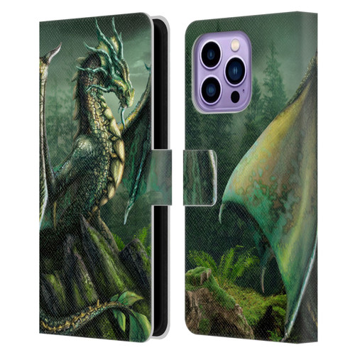 Sarah Richter Fantasy Creatures Green Nature Dragon Leather Book Wallet Case Cover For Apple iPhone 14 Pro Max