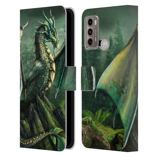 Sarah Richter Fantasy Creatures Green Nature Dragon Leather Book Wallet Case Cover For Motorola Moto G60 / Moto G40 Fusion