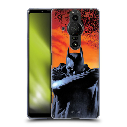 Batman Begins Graphics Character Soft Gel Case for Sony Xperia Pro-I