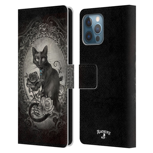 Alchemy Gothic Cats Paracelsus Leather Book Wallet Case Cover For Apple iPhone 12 Pro Max