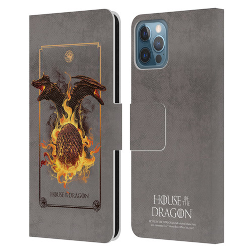 House Of The Dragon: Television Series Art Syrax and Caraxes Leather Book Wallet Case Cover For Apple iPhone 12 / iPhone 12 Pro