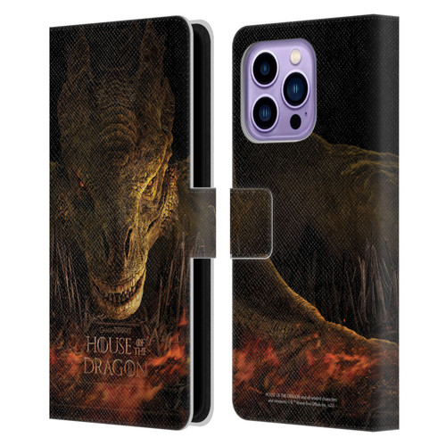 House Of The Dragon: Television Series Art Syrax Poster Leather Book Wallet Case Cover For Apple iPhone 14 Pro Max