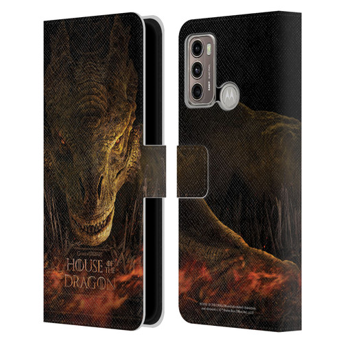 House Of The Dragon: Television Series Art Syrax Poster Leather Book Wallet Case Cover For Motorola Moto G60 / Moto G40 Fusion