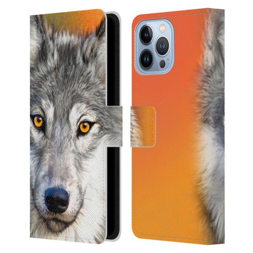 Aimee Stewart Animals Autumn Wolf Leather Book Wallet Case Cover For Apple iPhone 13 Pro Max