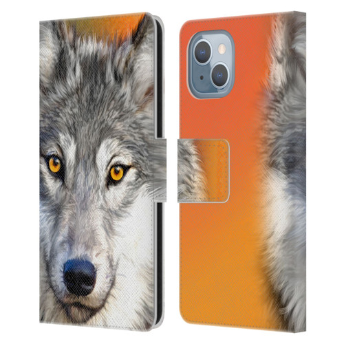 Aimee Stewart Animals Autumn Wolf Leather Book Wallet Case Cover For Apple iPhone 14