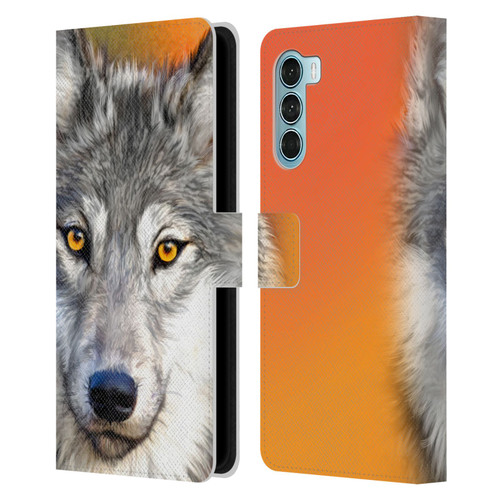 Aimee Stewart Animals Autumn Wolf Leather Book Wallet Case Cover For Motorola Edge S30 / Moto G200 5G