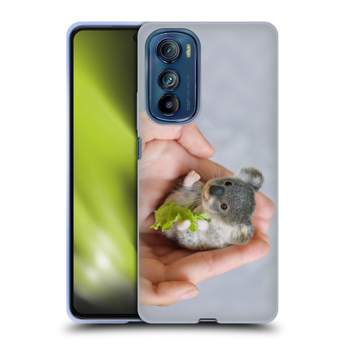 Pixelmated Animals Surreal Pets Baby Koala Soft Gel Case for Motorola Edge 30