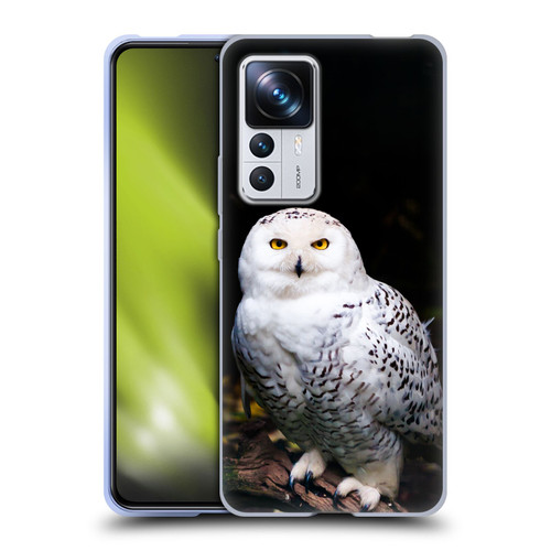 Patrik Lovrin Animal Portraits Majestic Winter Snowy Owl Soft Gel Case for Xiaomi 12T Pro