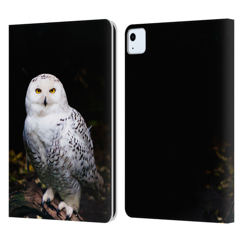 Patrik Lovrin Animal Portraits Majestic Winter Snowy Owl Leather Book Wallet Case Cover For Apple iPad Air 11 2020/2022/2024