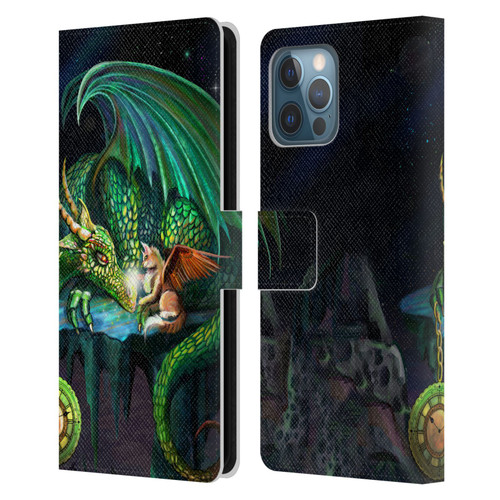 Rose Khan Dragons Green Time Leather Book Wallet Case Cover For Apple iPhone 12 Pro Max