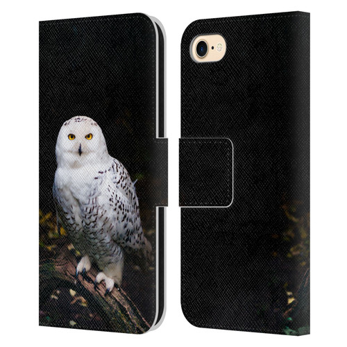 Patrik Lovrin Animal Portraits Majestic Winter Snowy Owl Leather Book Wallet Case Cover For Apple iPhone 7 / 8 / SE 2020 & 2022