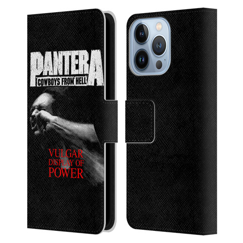 Pantera Art Vulgar Leather Book Wallet Case Cover For Apple iPhone 13 Pro