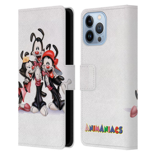Animaniacs Graphics Formal Leather Book Wallet Case Cover For Apple iPhone 13 Pro Max