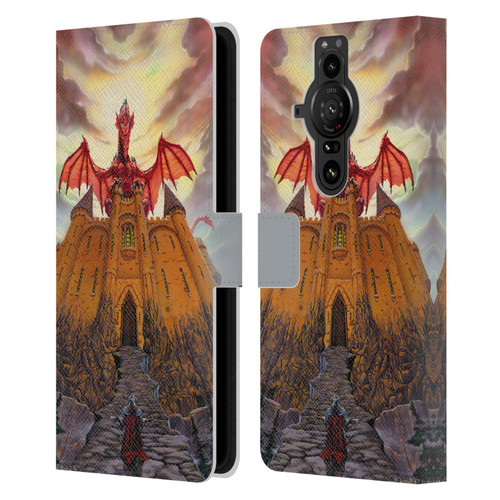 Ed Beard Jr Dragon Friendship Lord Magic Castle Leather Book Wallet Case Cover For Sony Xperia Pro-I