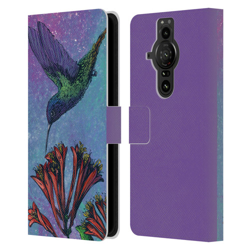 David Lozeau Colourful Grunge The Hummingbird Leather Book Wallet Case Cover For Sony Xperia Pro-I