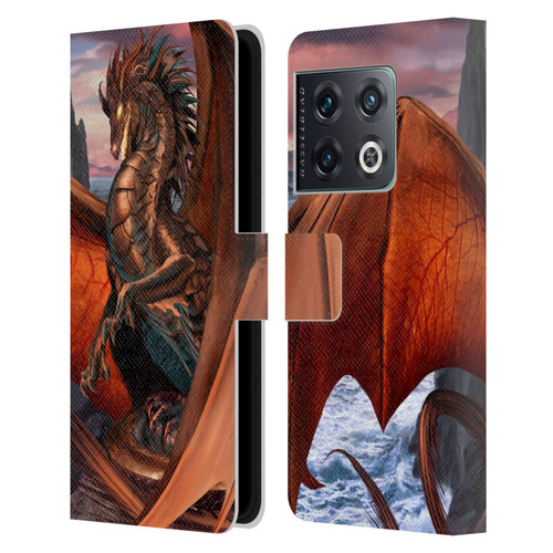 Ruth Thompson Dragons Coppervein Leather Book Wallet Case Cover For OnePlus 10 Pro