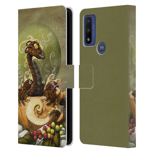 Stanley Morrison Art Brown Coffee Dragon Dragonfly Leather Book Wallet Case Cover For Motorola G Pure